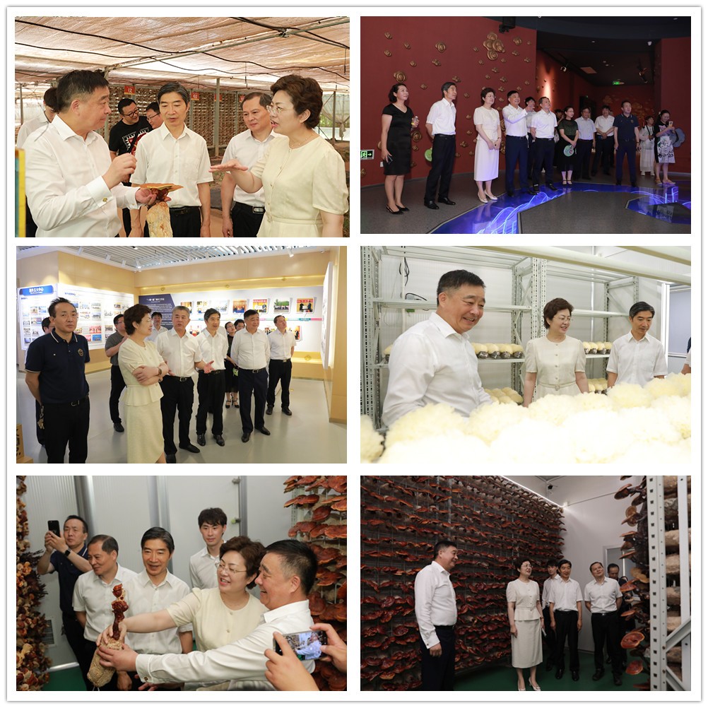 1688464114914272.jpg 改2.jpg