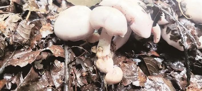 圖片關鍵詞 圖片關鍵詞