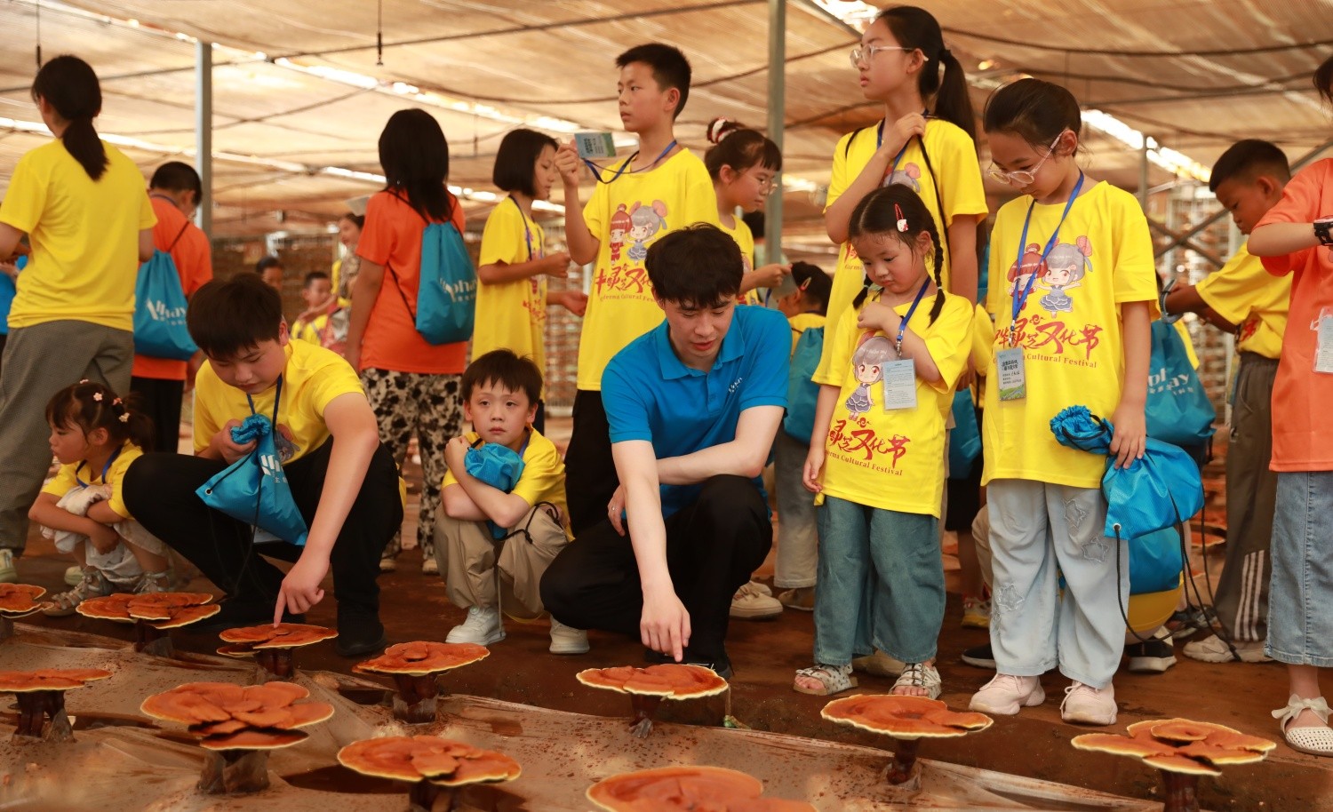 圖片關(guān)鍵詞