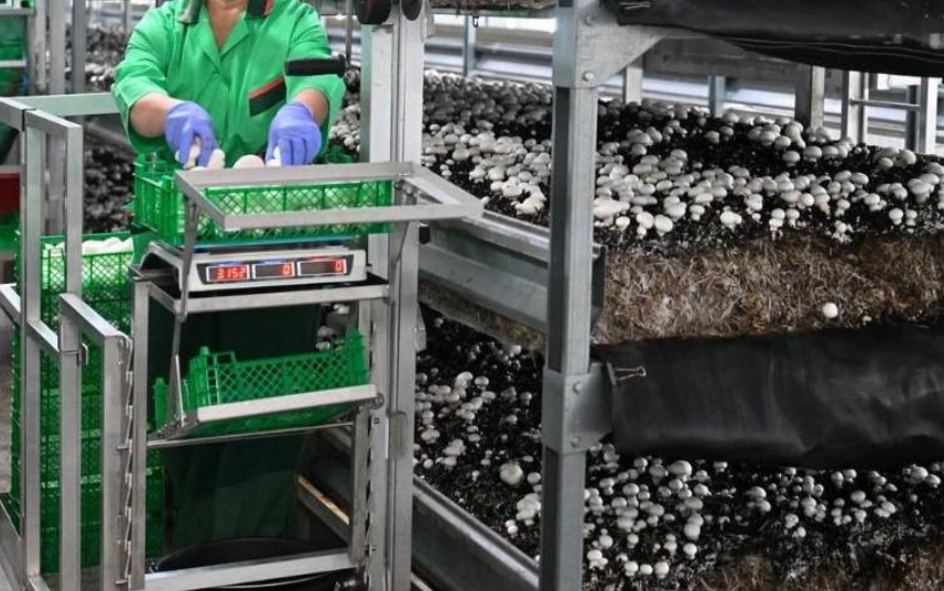 圖片關鍵詞 圖片關鍵詞