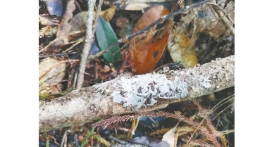 行業(yè)動態(tài)